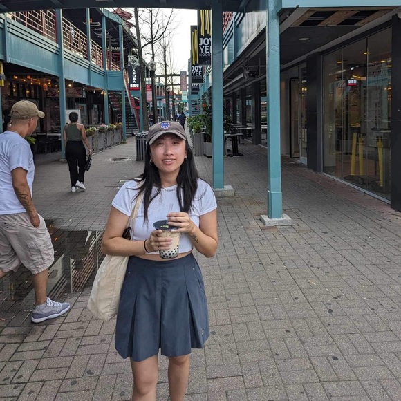 scanilang